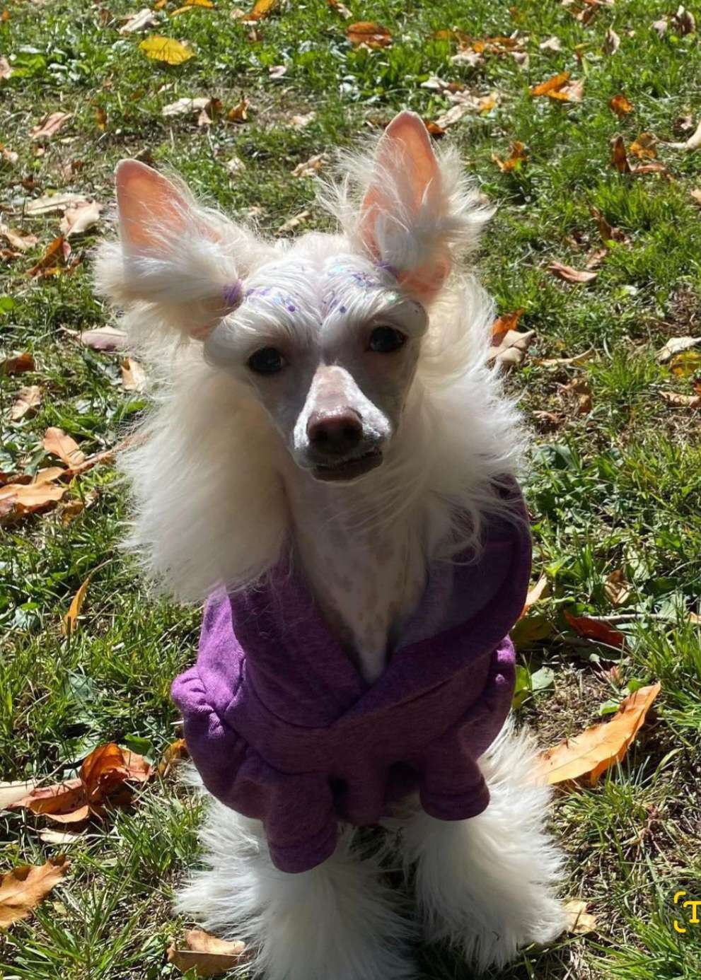 By Angel Wings I Made It Through