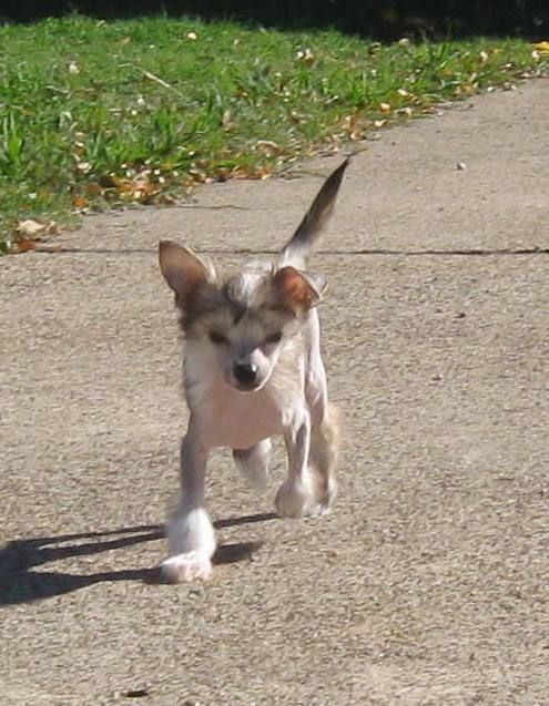 Sterling Silver Gift from Hi-Life