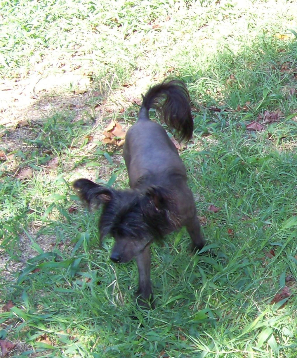 Spiritual - I Wanna Be A Rockstar