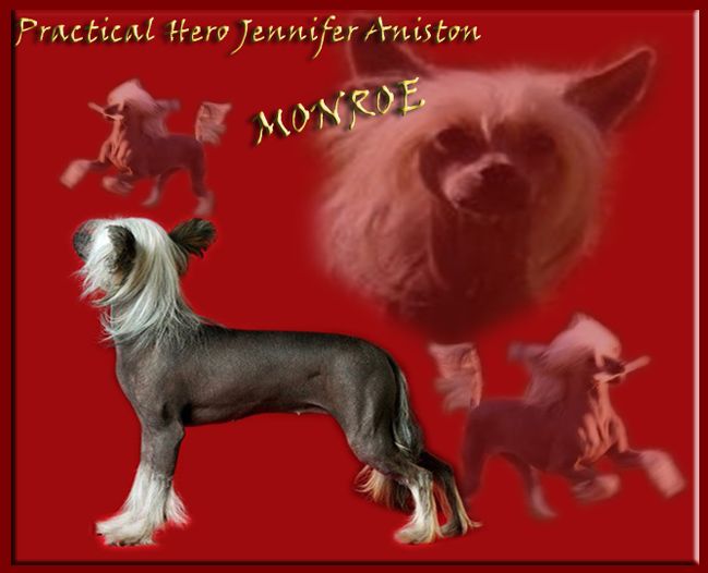Practical Hero Jennifer Aniston