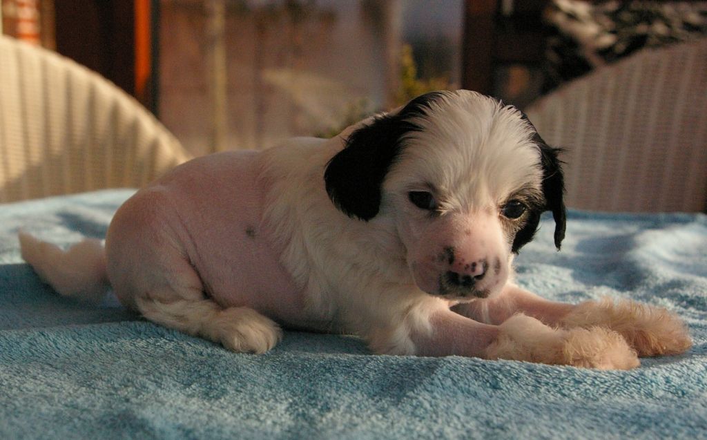 Eau Empire von Shinbashi