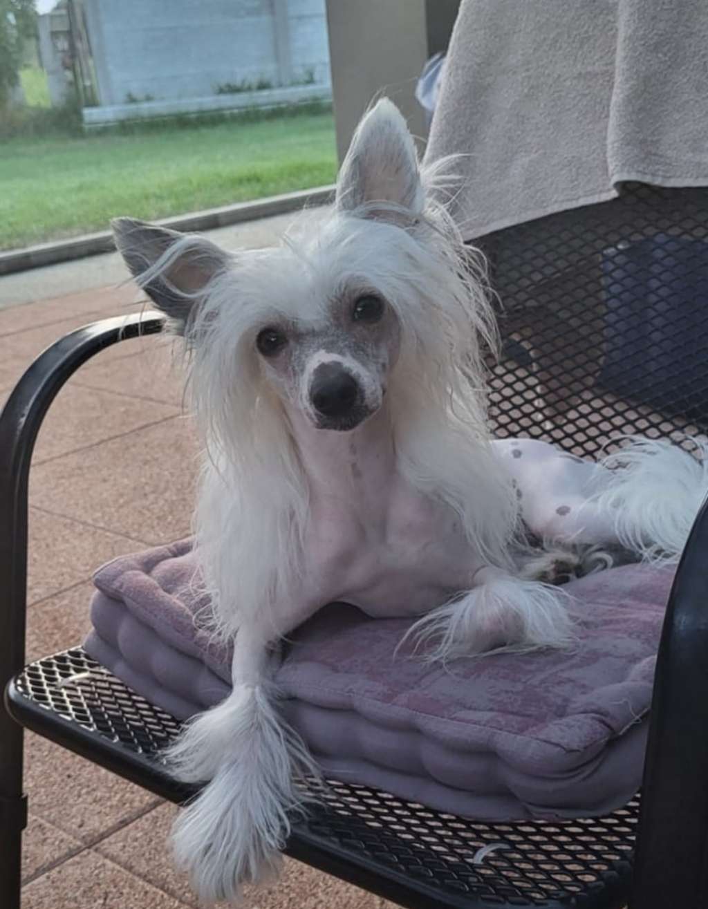 Jessica Joe z Jaromerského panství