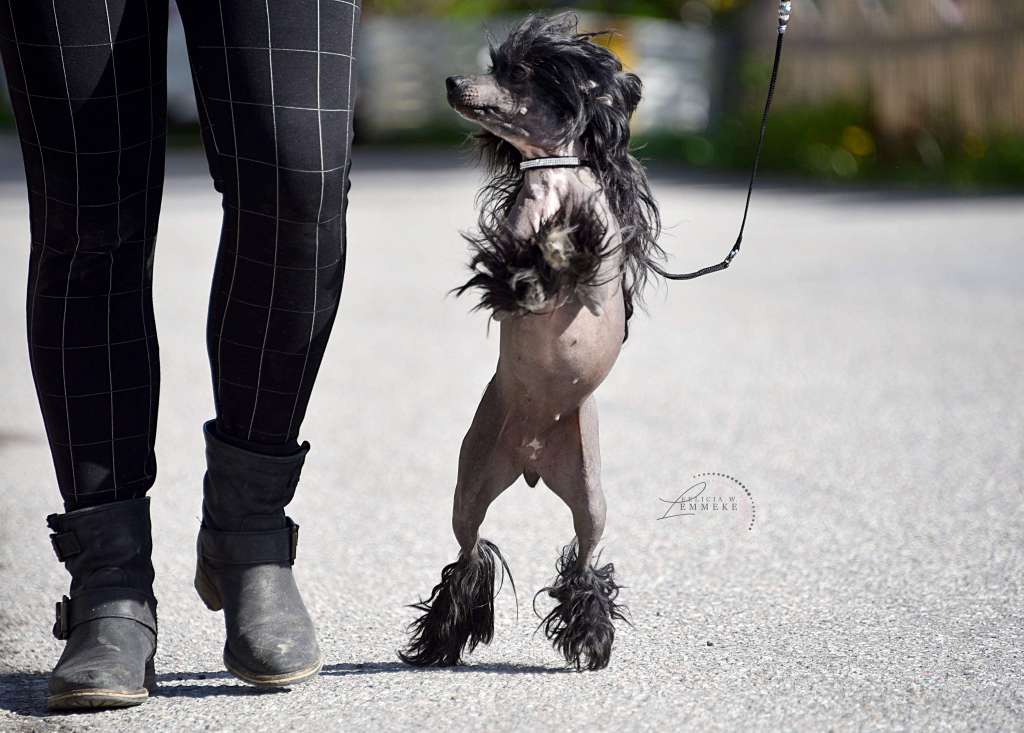 SweRotts Diamonds Can Be Black