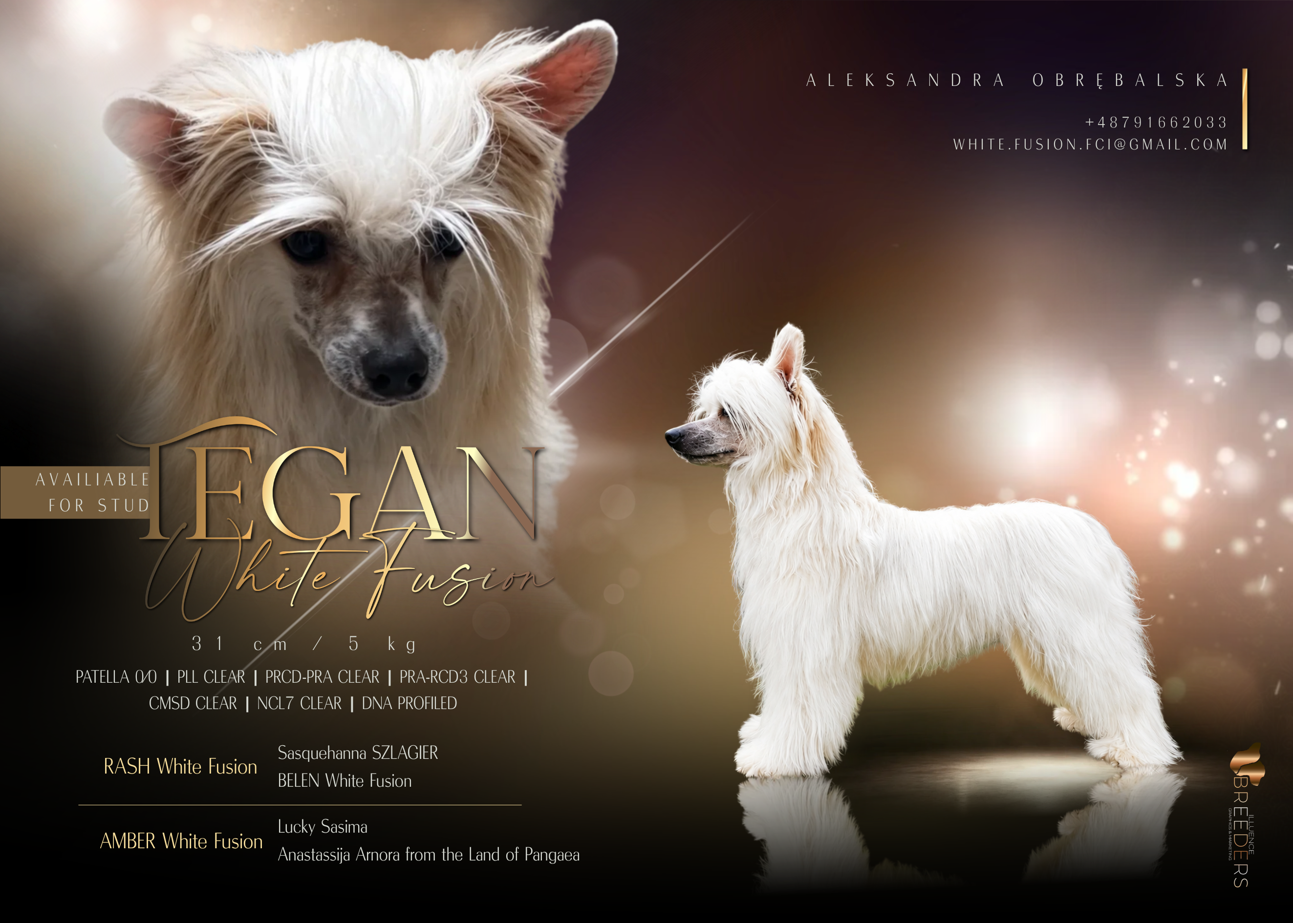 TEGAN White Fusion