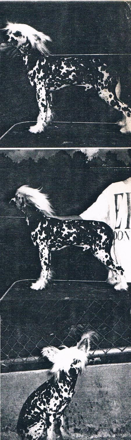 Smokey Valleys Lots A Spotsa