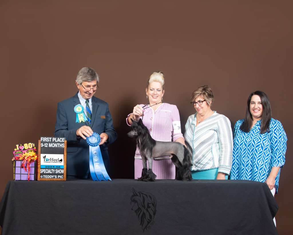 Cristall Reach for the Stars at Brymar