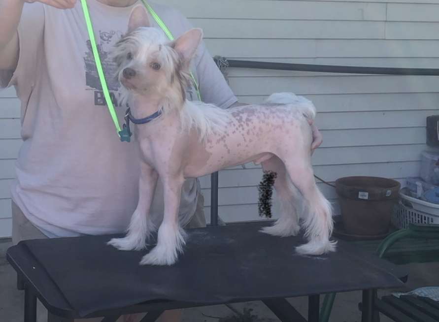 Must-B-Luvs Code Red at Twilight