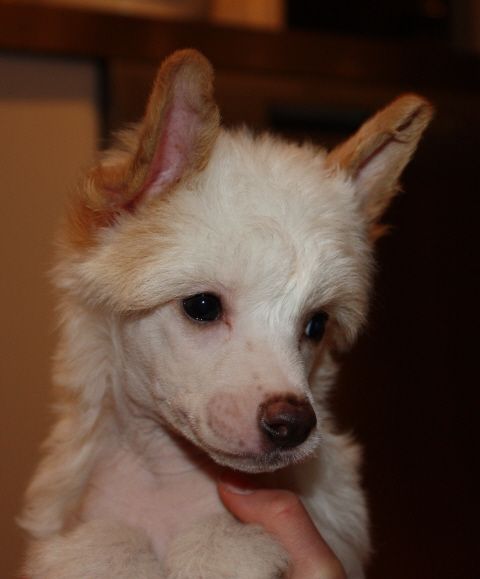 Sun-Hee's Feast of Love