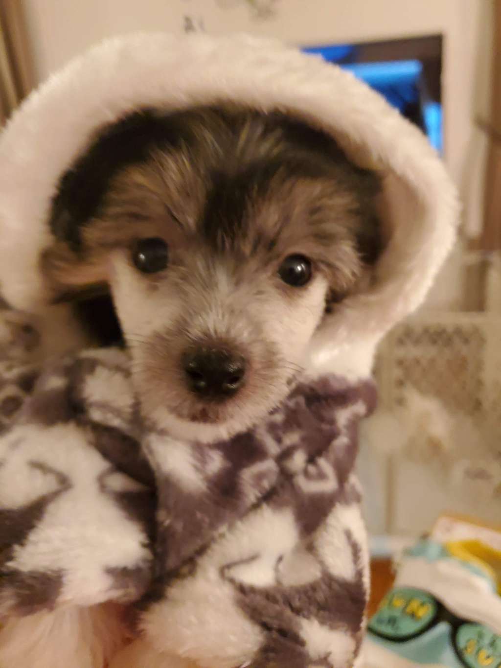 Valour's Monterey Madness