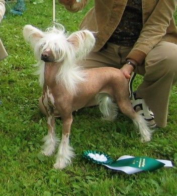 Eugenios Celebration