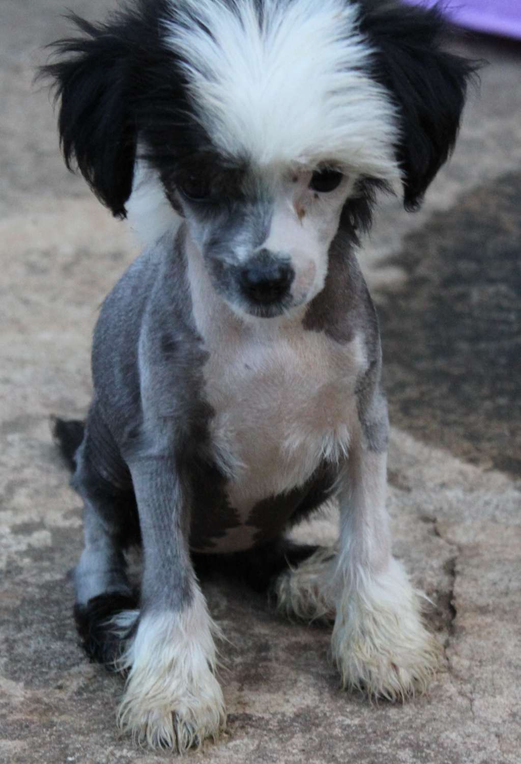 VII Peaks Lily Bit Naughty