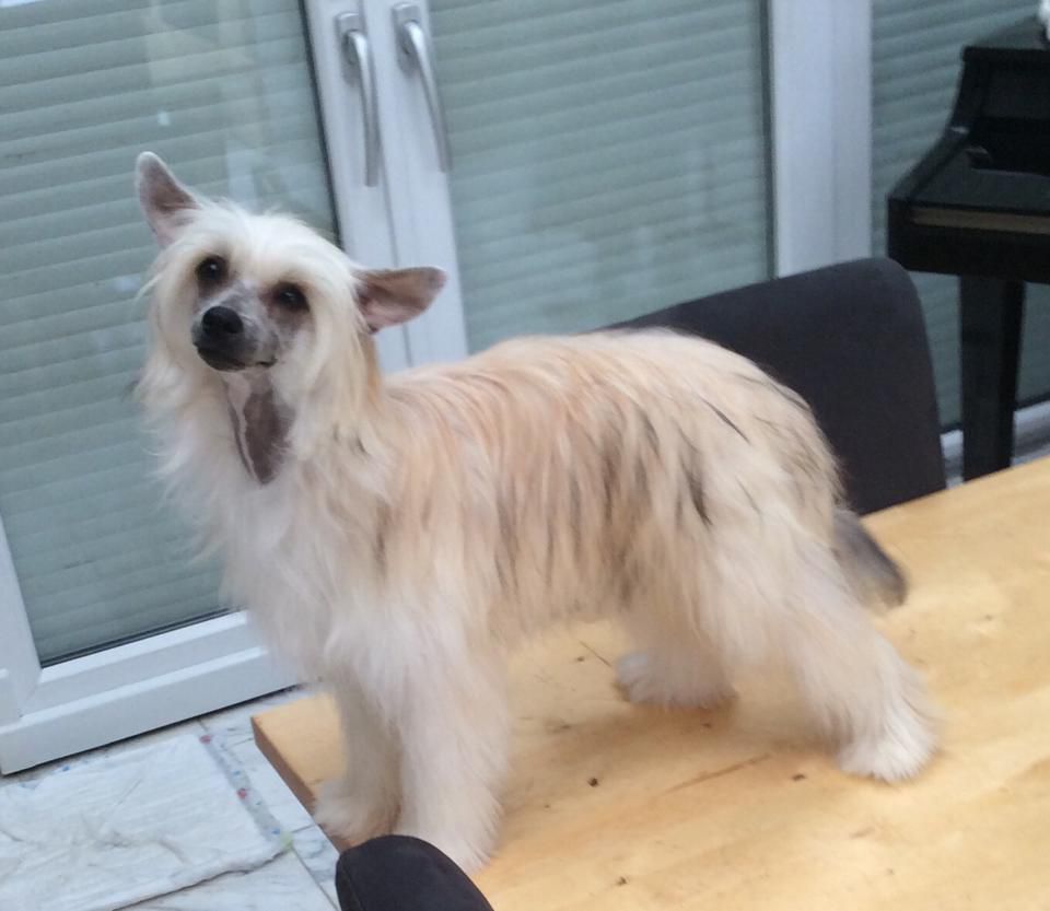 Frendor's Run for win