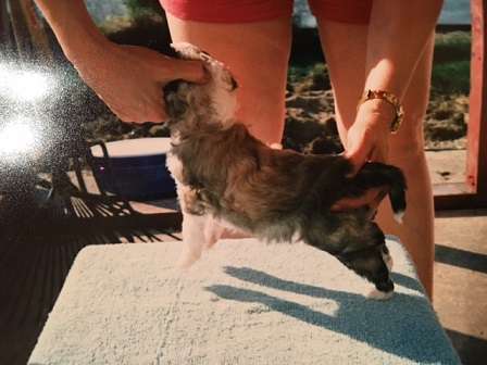 Wind's Music In The Night