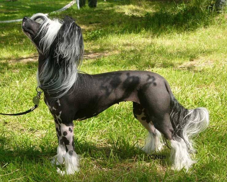 Stormblåstens From Dusk Til Dawn