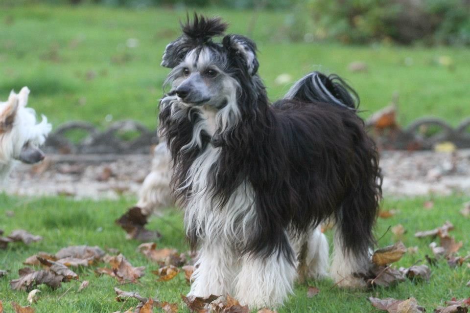 Eden's Garden Guess my love towards you