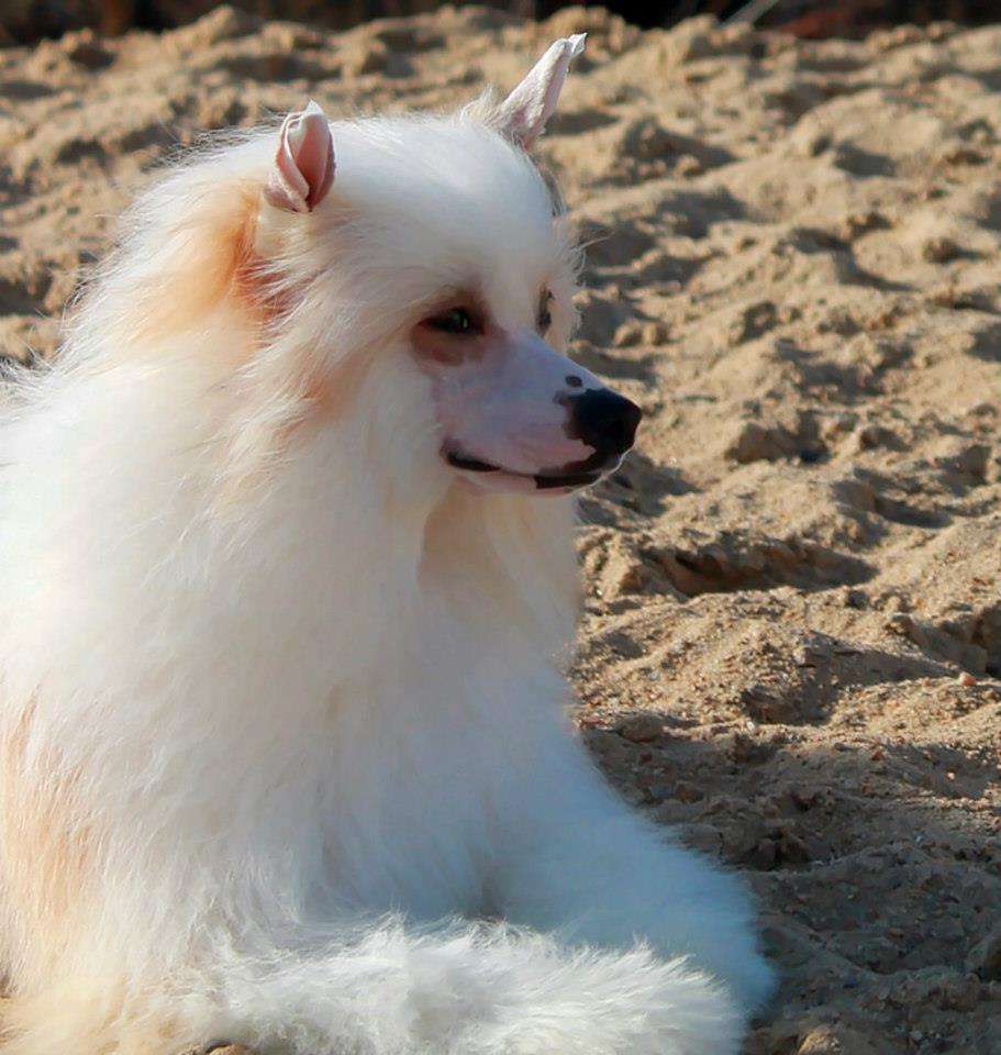 Olegro Katrin Rebecca Taylor