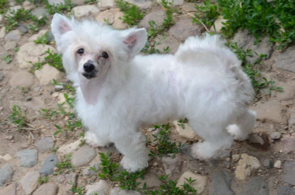 Miniatura Club Right Choice