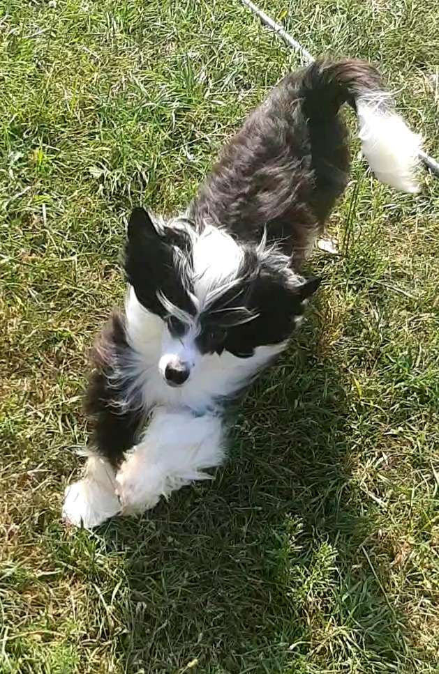 Magic of Success Bradley