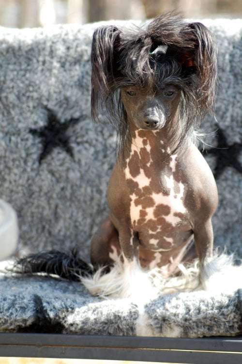 Edcullen's Glade Elementary