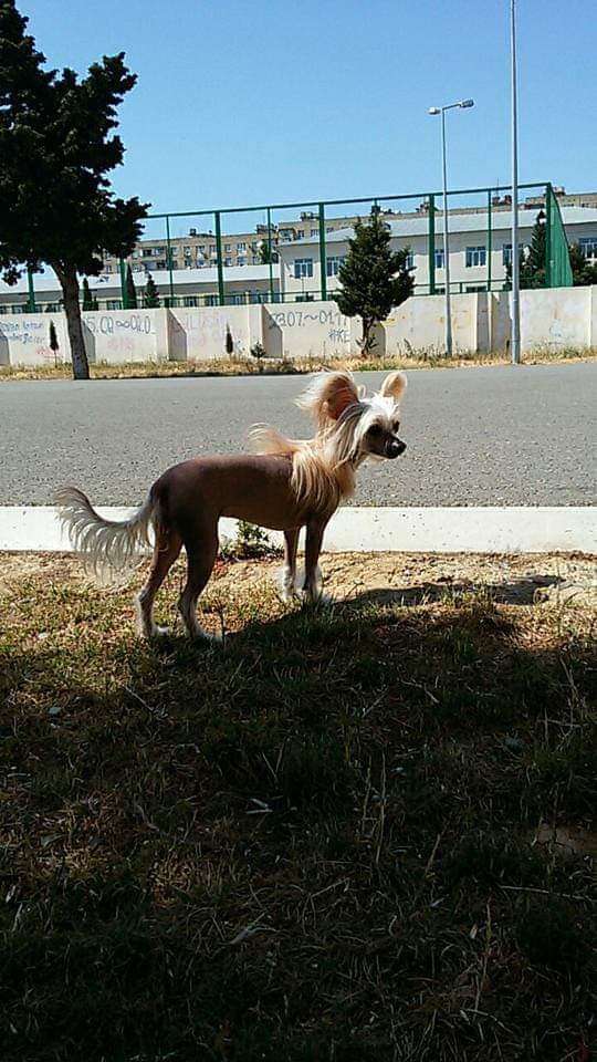 Magic of Success Alicia Key To My Heart