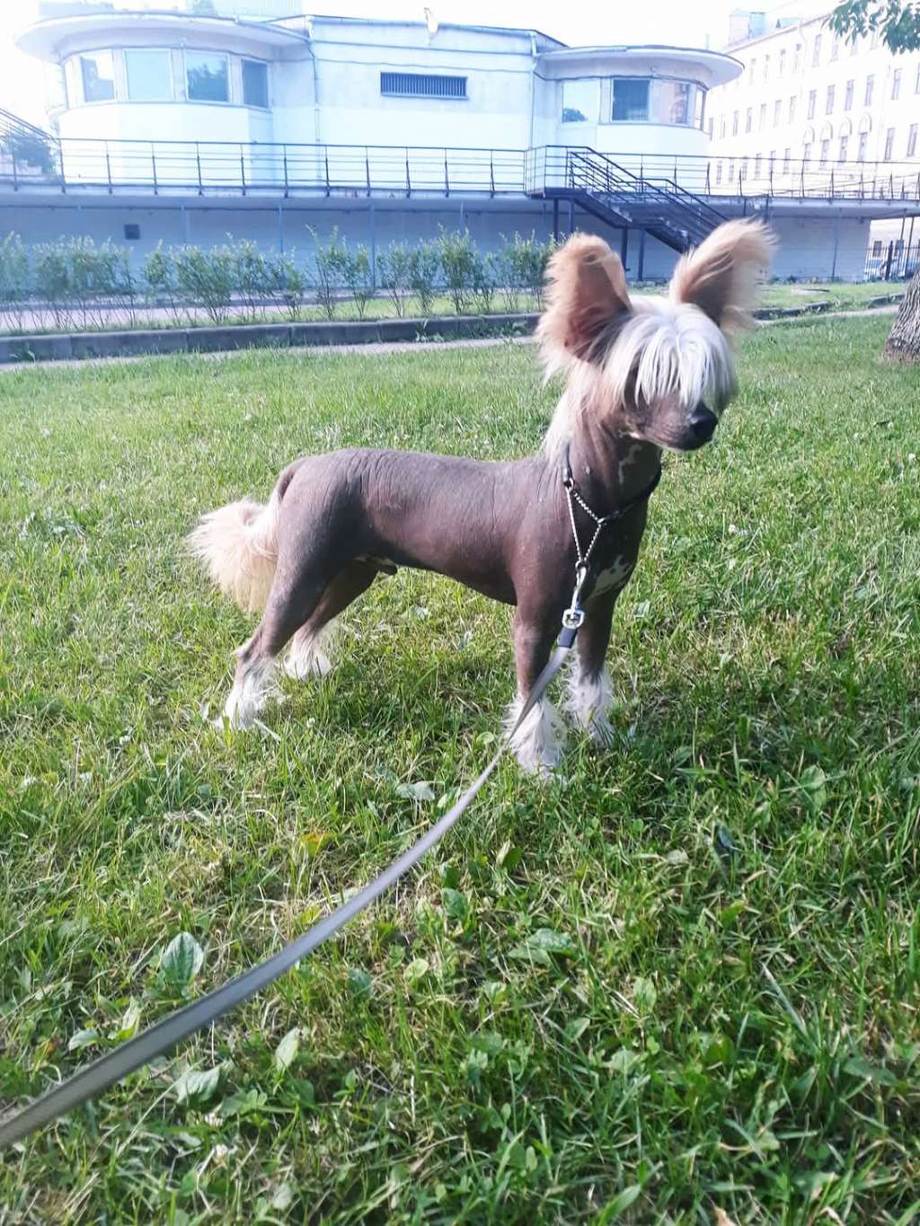 Art Rebellion Unleashed In Me