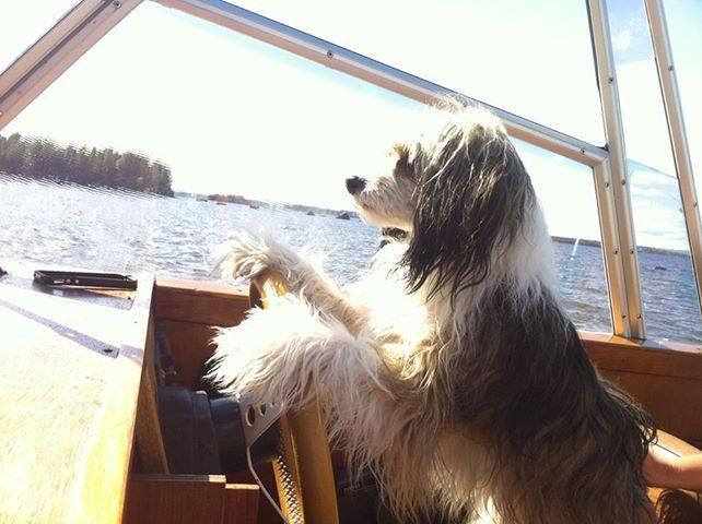 Drömtorpet's River into your heart