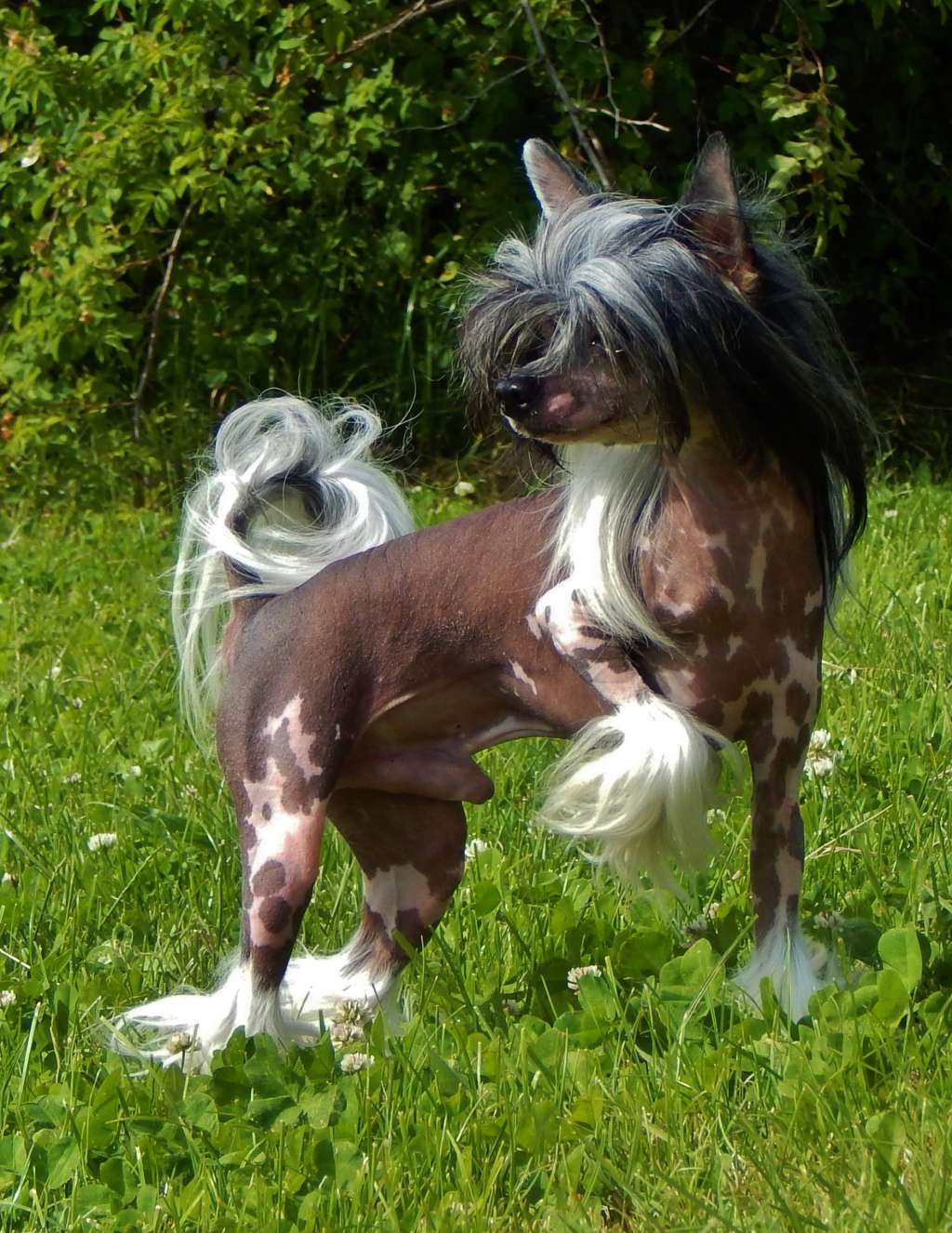 Artush China Storytelling