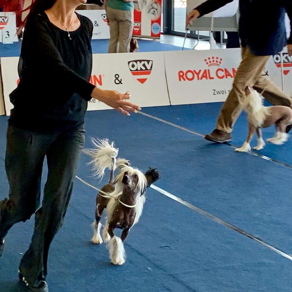 Calvados von Panaluna