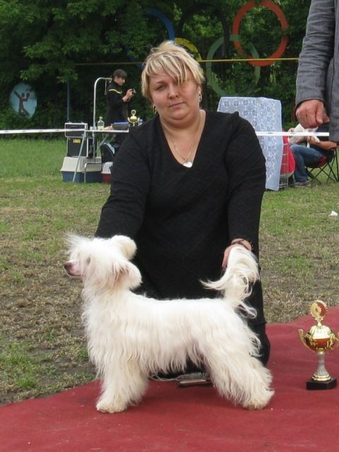 Krasotka Star  Eurovision Elegy