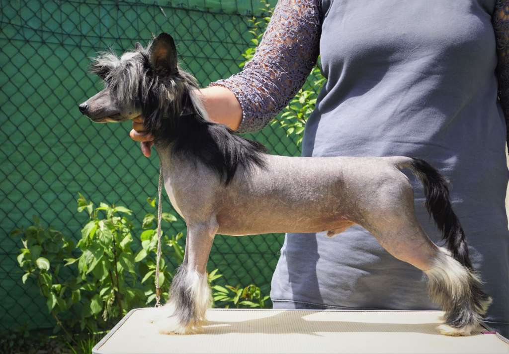 Stitch in Time Heybett