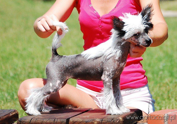 Eternity Summer Gattaca