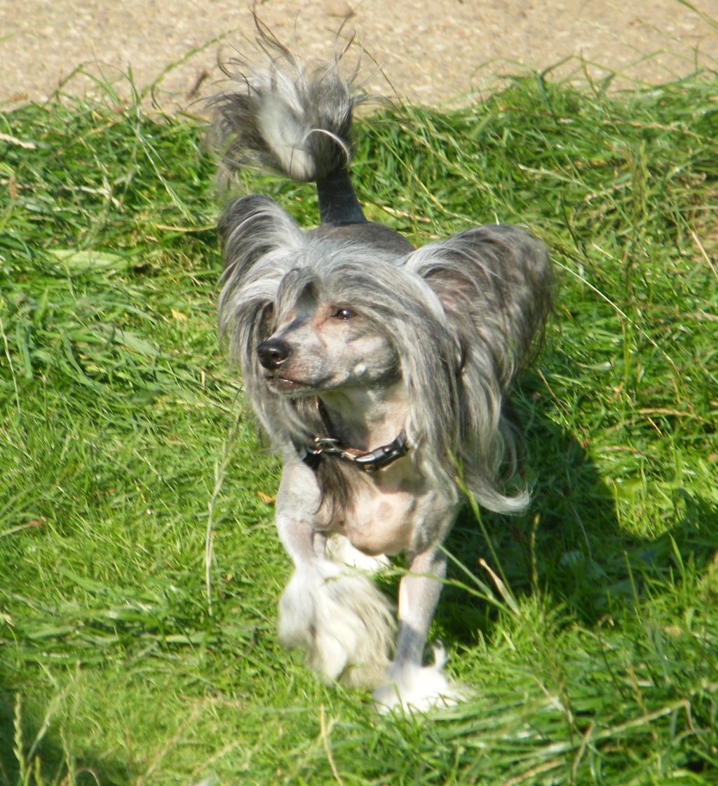 Prajna Time is Special Black at Tamarsh