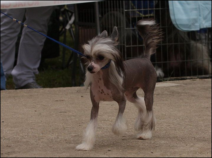 Fundoklia-völgyi Kaszanics Fantasy