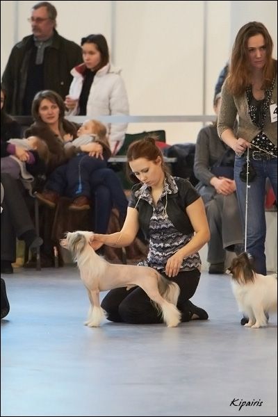 Mashama Mazi Rus Chionesu