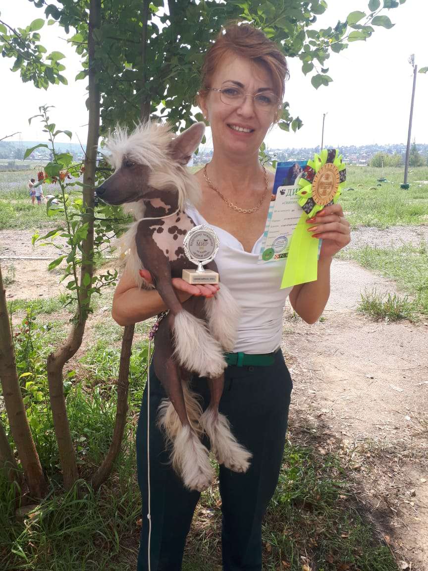 Star Style Vaigar Great