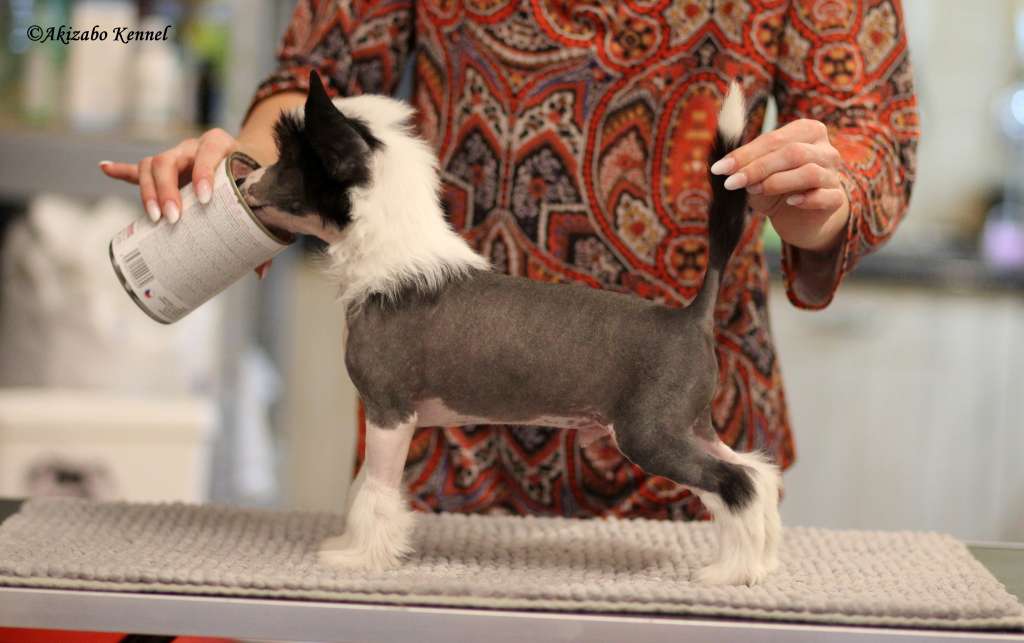 Genialnie Sprytny Akizabo