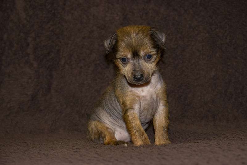 Diamanti Della Vita Key To My Heart