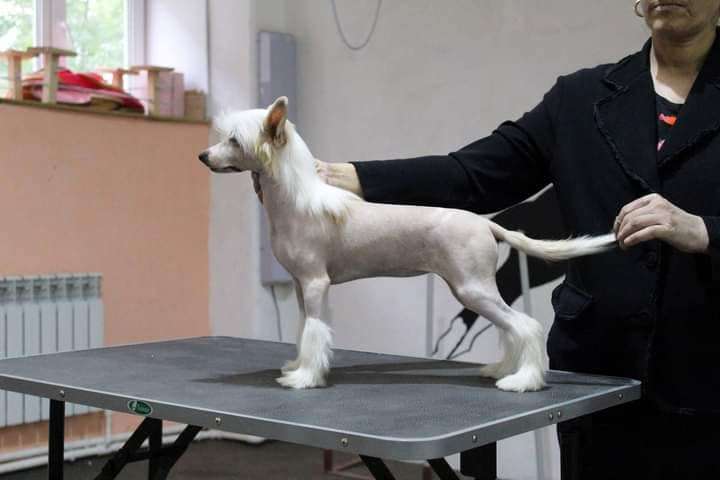 Little Merry Berry Iz Vishnyovogo Sada