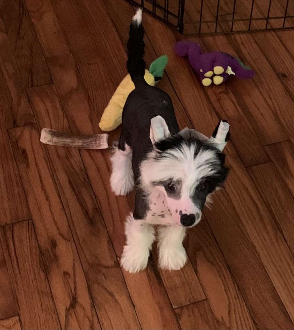 Jewels Let The Sparks Fly By Jove