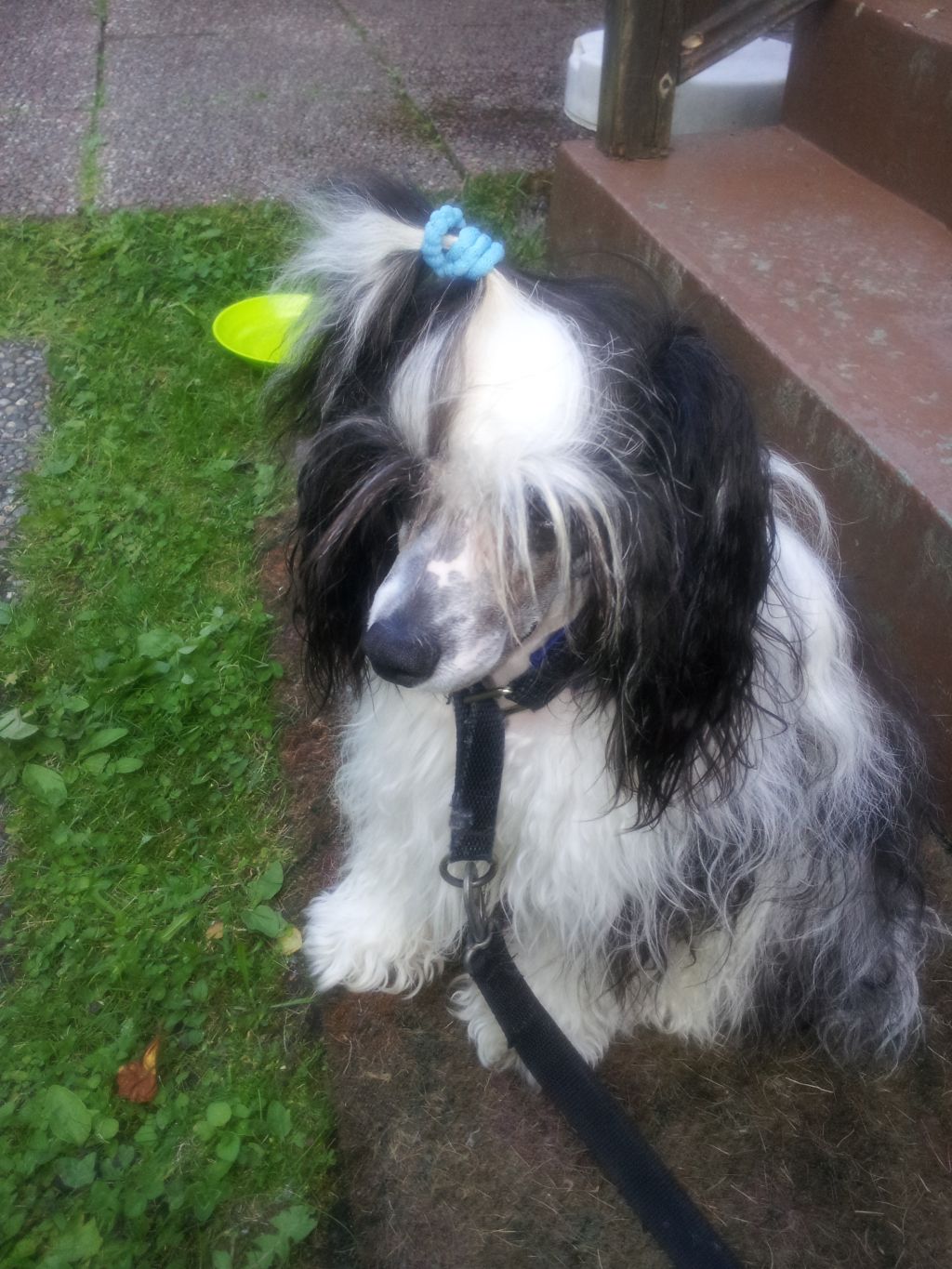 Nossnahoj's true story