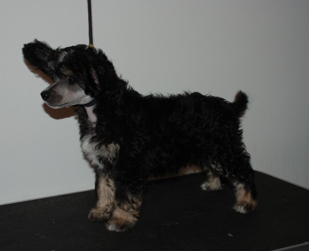 Bonniveras Kiss Me Close