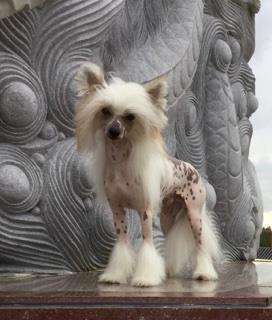 Striding Ain't My First Rodeo