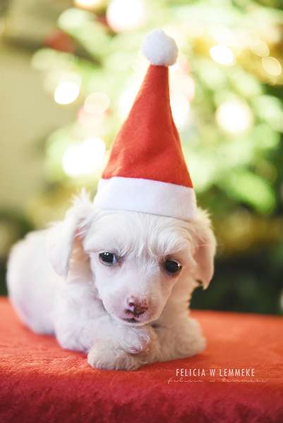 Jean Dark Practice Makes Puffect