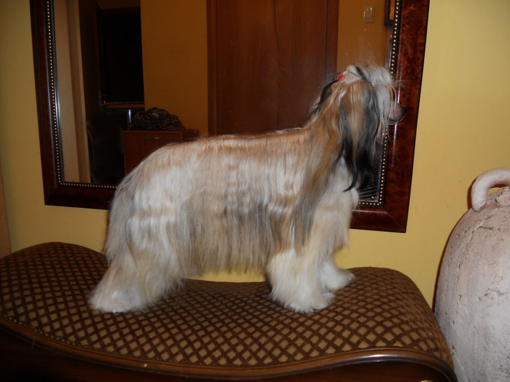 Endless Kiss Kevia Kashvi 