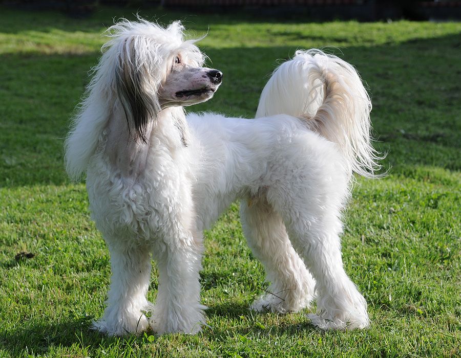 Sunstreaker Breaking N Entering