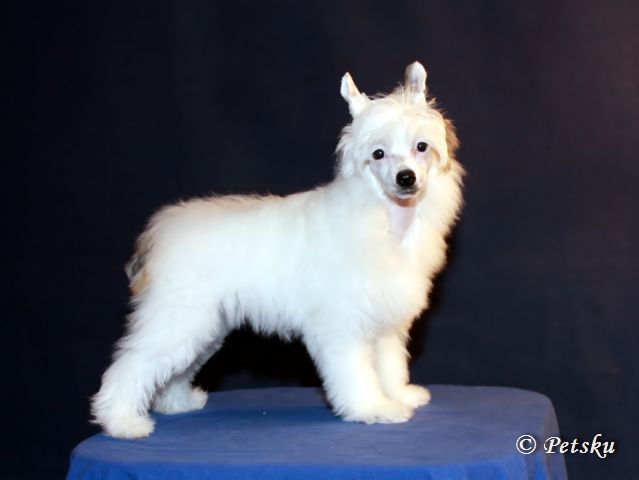 Zodellin Breaking The Habit