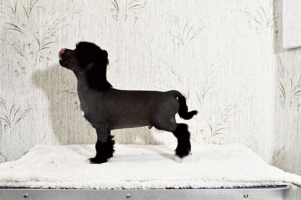 Girls Girls One By One