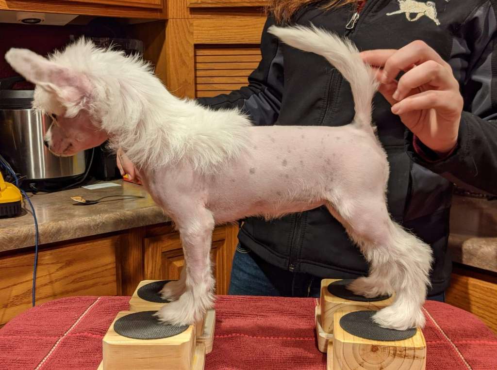 Cloudpointe Wheel of Fortune