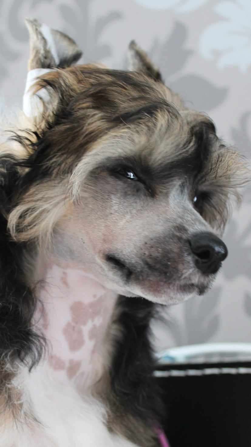 Usher Sweet love of Mine