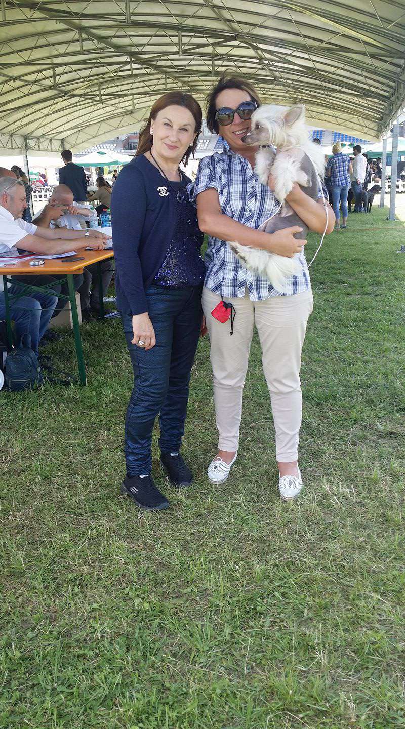 Ch Junnuet De Sothis